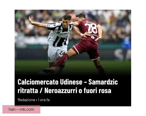 萨马尔季奇转会国米体检未过最终交易告吹